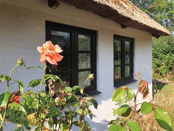 Ferienhaus | Blick von der Unterkunft