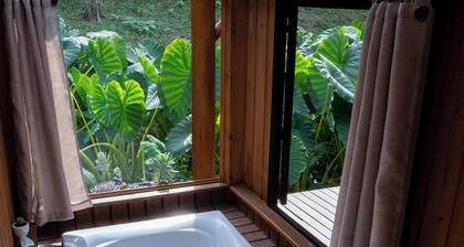 Haere Tonu Cabin with Hot Tub