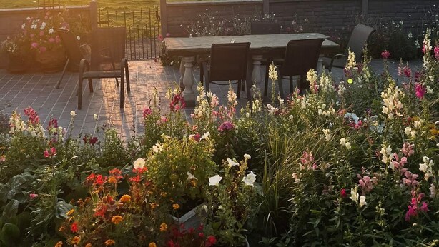 En tagterrasse med spisebord og stole, omgivet af krukker med planter og blomster.