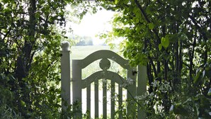 A white wooden gate with a curved top, surrounded by lush green foliage.