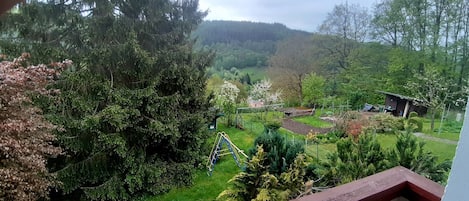 A view from a balcony overlooking a garden with a variety of trees and a small shed.