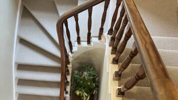A wooden staircase with a handrail, carpeted steps, and a small plant at the bottom.