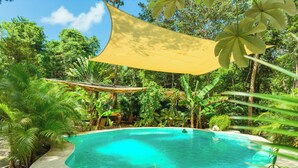 Una piscina envoltada de vegetació exuberant i un told verd.