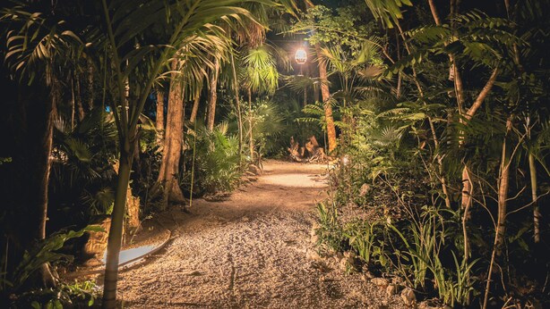Camí nocturn a través d'un jardí tropical ple de palmeres i un sender de grava.