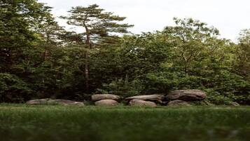 Paisaje natural con un primer plano herboso, un grupo de rocas grandes y árboles verdes frondosos al fondo.