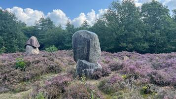 Een natuurlandschap met twee grote rotsen en een dichte boomrij in de verte.
