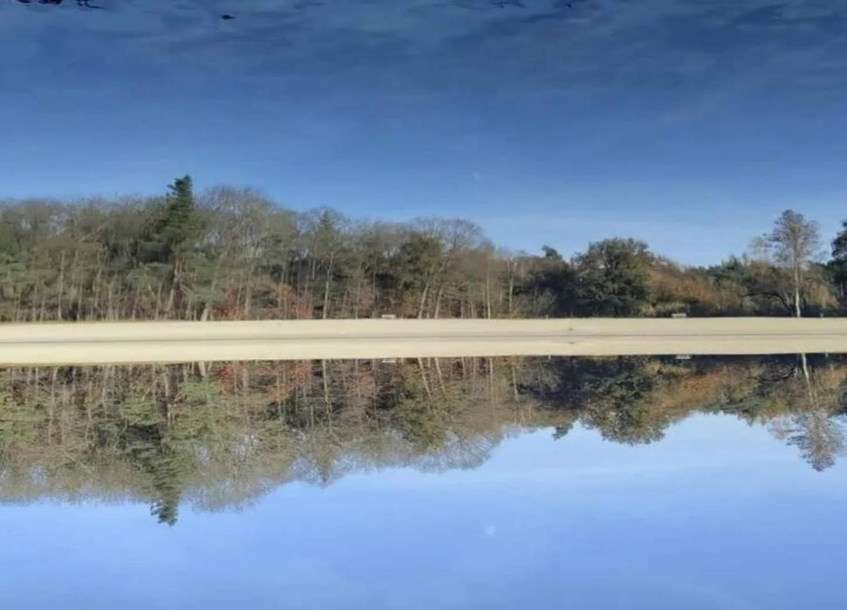 A calm body of water reflecting trees and a clear sky.