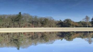 A calm body of water reflecting trees and a clear sky.