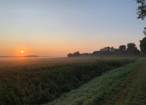 Un amanecer sobre un campo cubierto de hierba con cielo despejado.