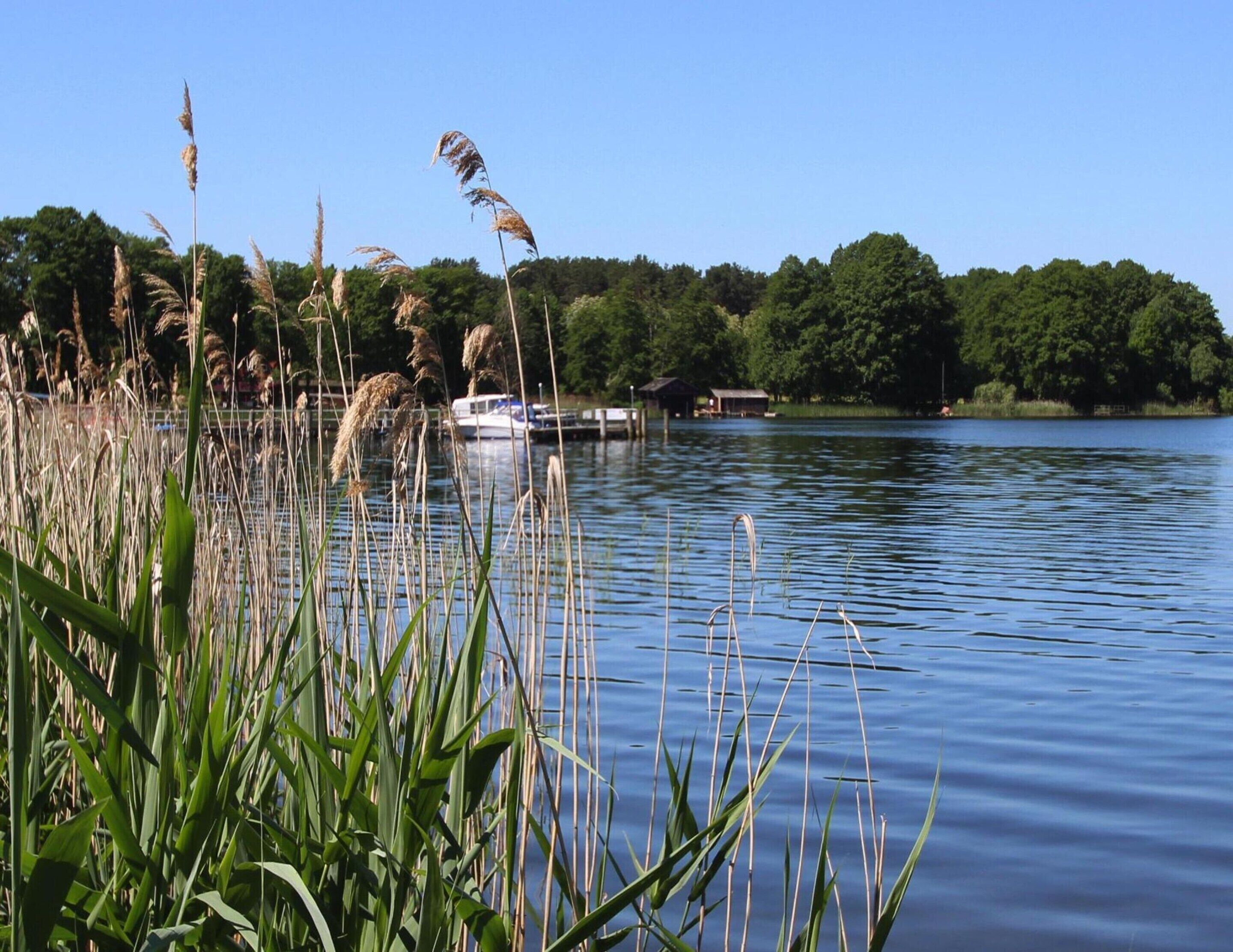 A calm lake with tall grasses in the foreground and a dock with a small building in the background.