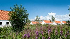 Uma fileira de edifícios brancos com telhados laranja, rodeada por um campo de flores roxas.