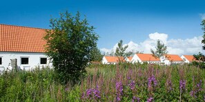 A row of white buildings with orange roofs, surrounded by a field of purple flowers. - 4 Star Holiday Home in Skagen (Skagen)