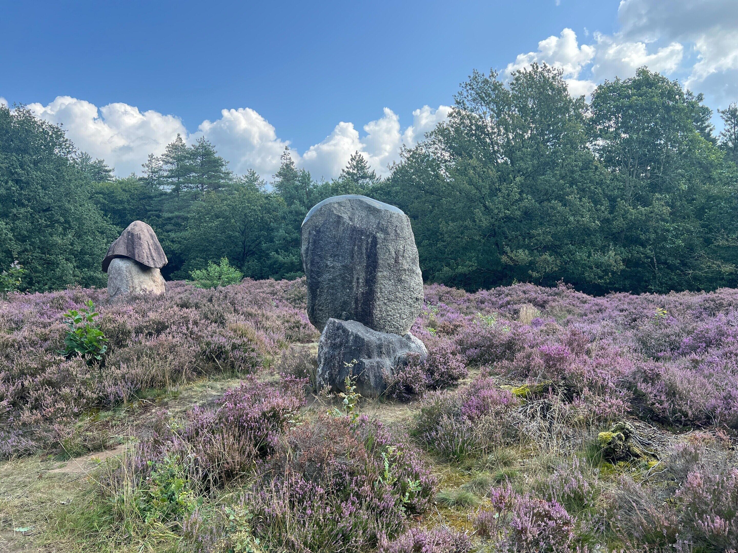 A natural landscape with two large rocks and dense greenery in the background.