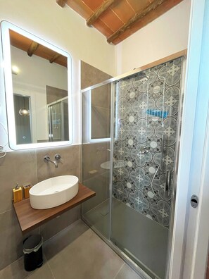 Hair dryer, bidet, towels, soap