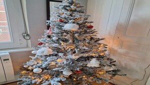 Un árbol de Navidad cubierto de nieve, con luces y adornos, ubicado en una habitación con una puerta blanca y un ventanal.