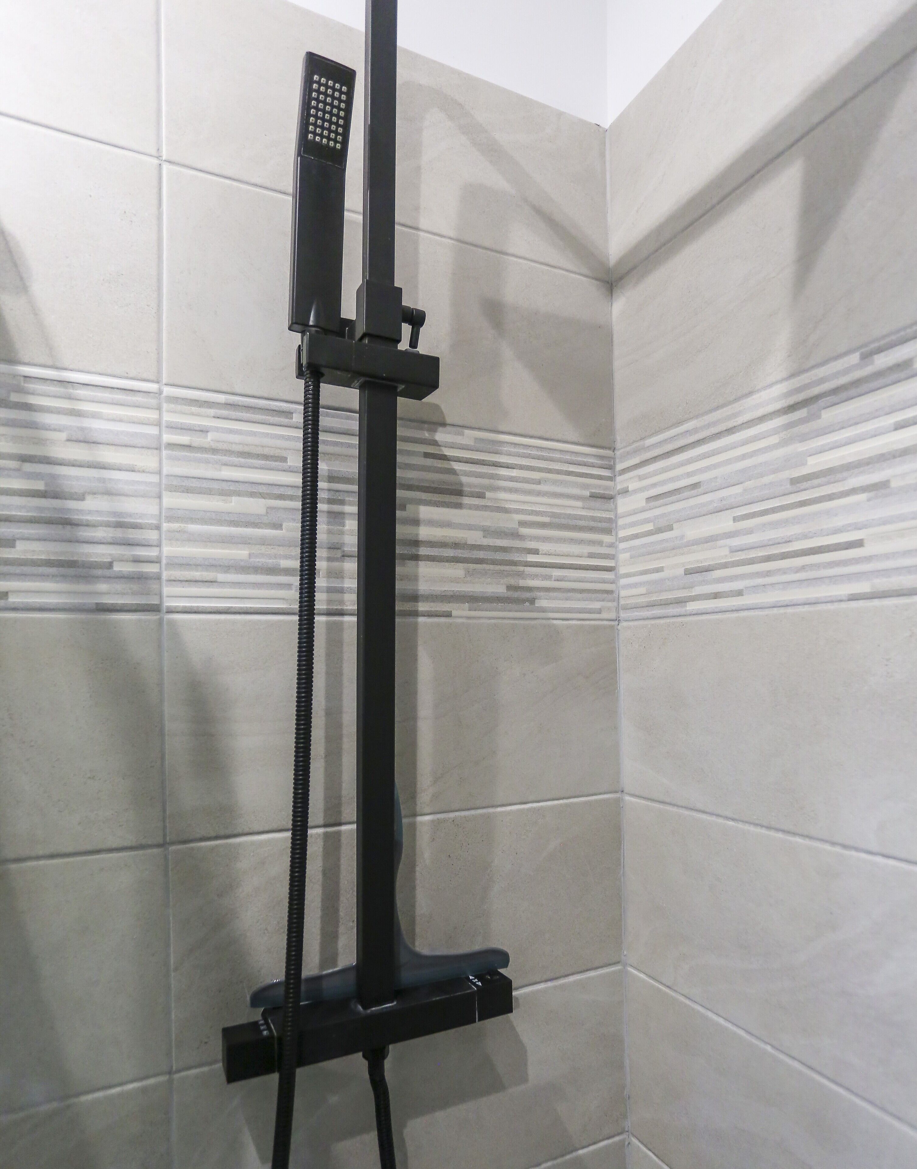 Regadera, secadora de cabello, toallas, jabón 