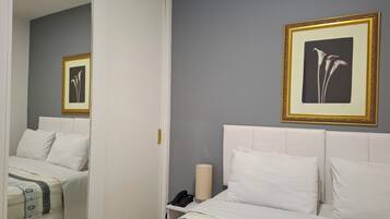 Classic Apartment, 1 Queen Bed with Sofa bed | 1 bedroom, in-room safe, laptop workspace, iron/ironing board