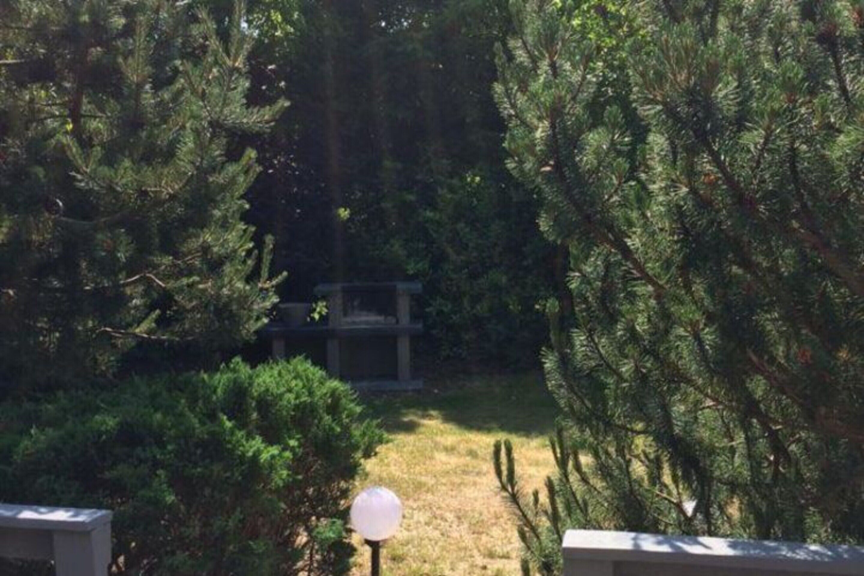 A garden with a pathway, surrounded by dense green foliage and a lamp post.