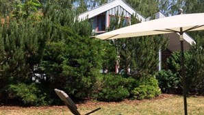A backyard with a lawn chair under a large umbrella, surrounded by dense green trees and a house in the background. - Ferienhaus im Skandinavischen Stil (Mirow)