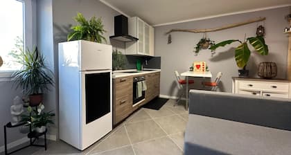 Lucia's Wood House and Wood's Room