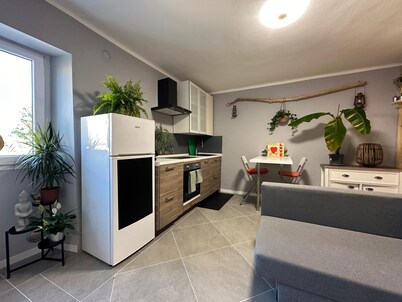 Lucia's Wood House and Wood's Room