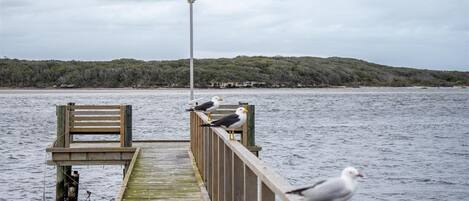 Un muelle de madera que se adentra en aguas tranquilas, con un banco y un poste para aves.