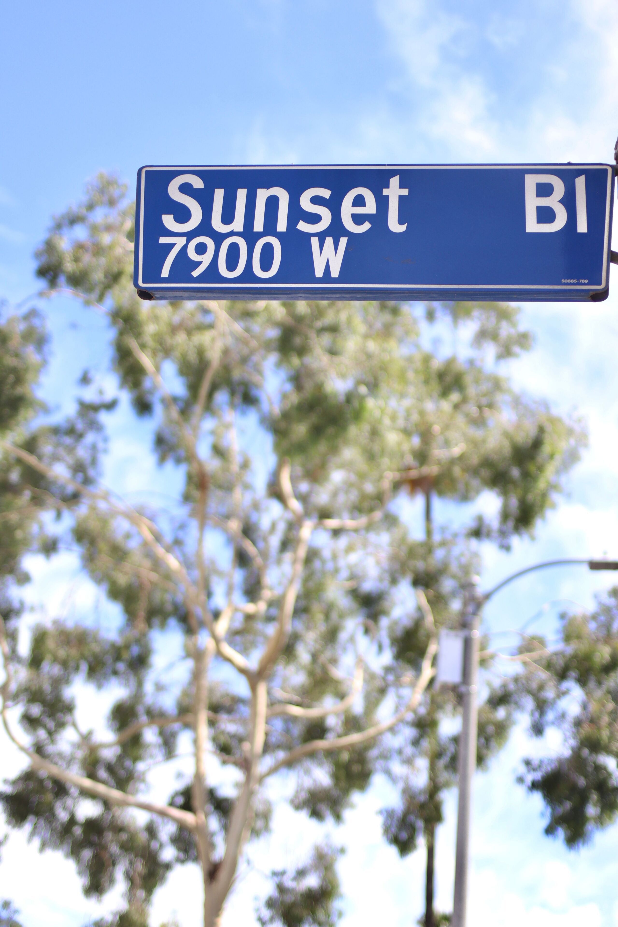 Una señal de calle indica Sunset Blvd.