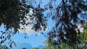 Un edificio tradicional con techo a dos aguas y vigas de madera, rodeado de exuberante vegetación y un cielo despejado.