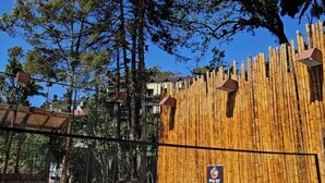 Área cercada con pared de bambú y un letrero que indica una instalación ProBet.