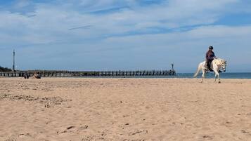 Vlak bij het strand