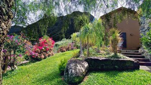 A garden with a stone pathway leading to a building with a door.