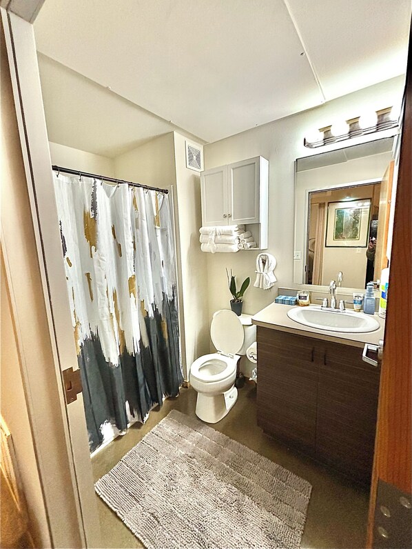 Shower, hair dryer, towels, soap - Private Charming Midtown 1-bedroom apartment in amazing Detroit with WiFi, AC (Detroit)