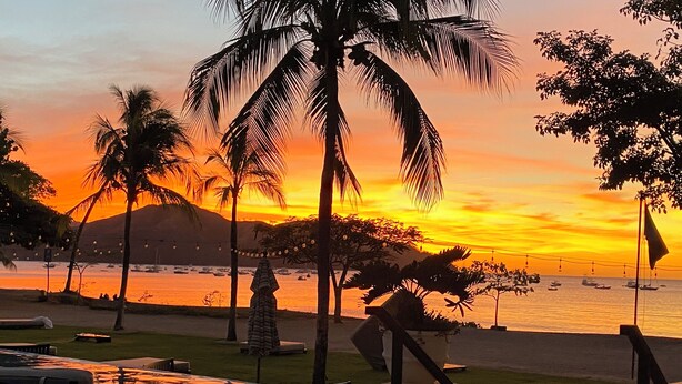 A sunset view with palm trees and a pool area. - Relax in Costa Rica Pura Vida Style and enjoy the magic! (Coco)