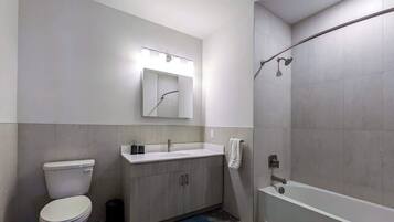 Shower, hair dryer