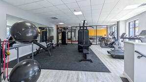 Een sportschool met trainingsapparatuur, een spiegelwand en uitzicht buiten.