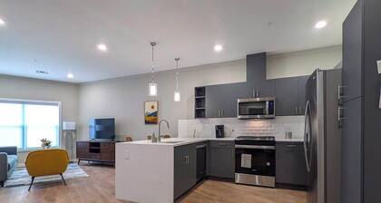 210 Brand New 1 Bedroom, 1 Bath, 1 Full Kit, 1 Liv