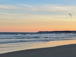 Een strand met golven en een zwerm vogels in de lucht.