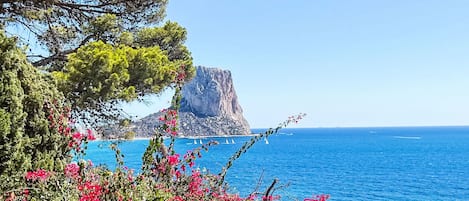 A coastal view with a rocky cliff, clear blue sea, and vibrant pink flowers.