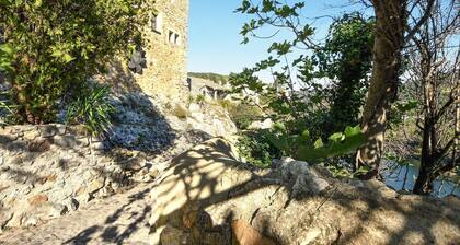 1 bedroom pet friendly home in Aiguèze