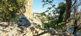 1 bedroom pet friendly home in Aiguèze
