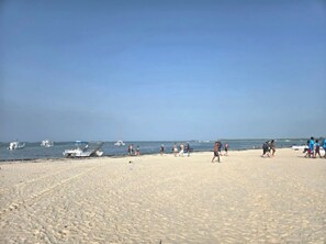 ビーチ