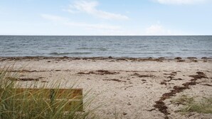 A beach with sand and seaweed, a wooden bench, and grass in the foreground. - 2 bedroom amazing home in Kalundborg (Kalundborg)