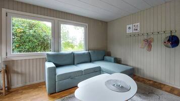Smart TV y chimenea