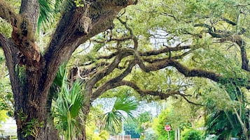 Parco della struttura