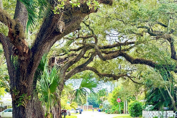 Overnatningsstedets område