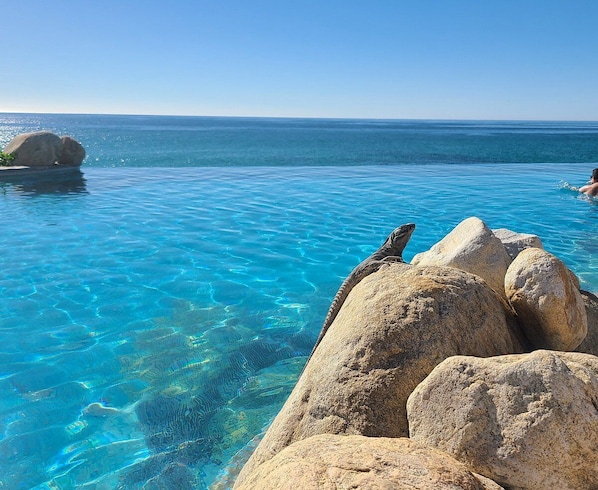 Utendørsbasseng og et oppvarmet basseng