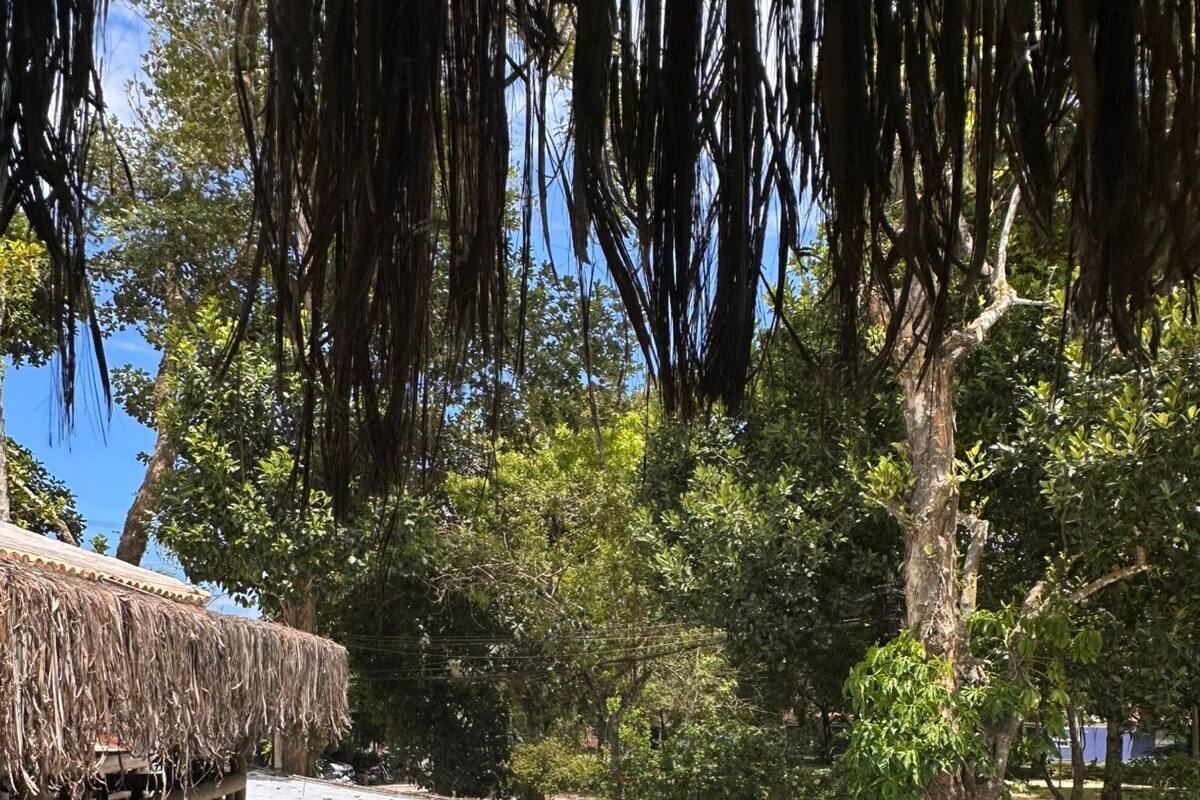 Exclusive-dobbeltværelse | Pengeskab på værelset, arbejdsområde til bærbare computere