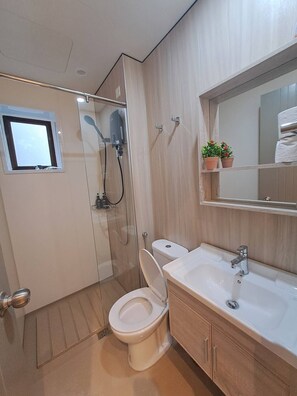 Hair dryer, soap, shampoo