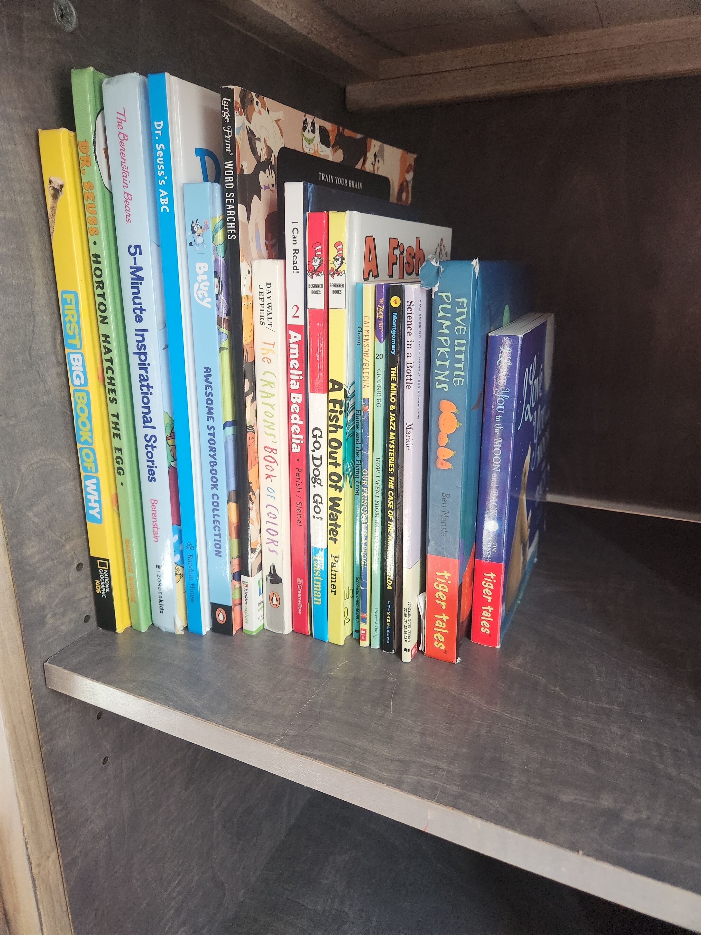 A bookshelf with a variety of books, including children's literature and educational materials.