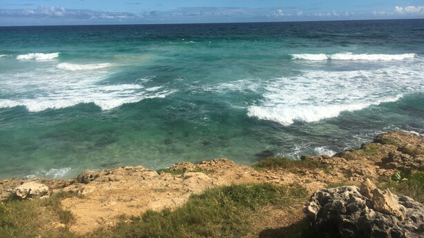 Un paysage côtier caractérisé par une eau turquoise et limpide, un terrain rocheux et une végétation clairsemée.